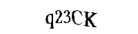 Enter the characters below