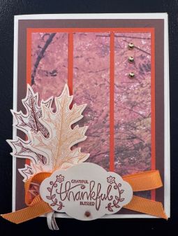 Beautiful Thanksgiving Card, set of five cards